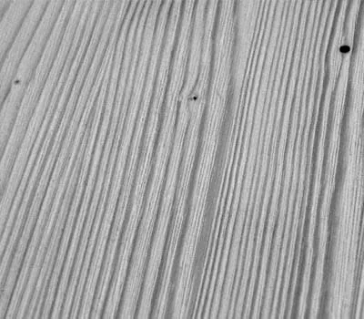 Pinta muoviharjaksisella rustilon-harjalla tehdyn hionnan jälkeen.