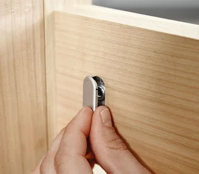 Peitetulpan asentaminen